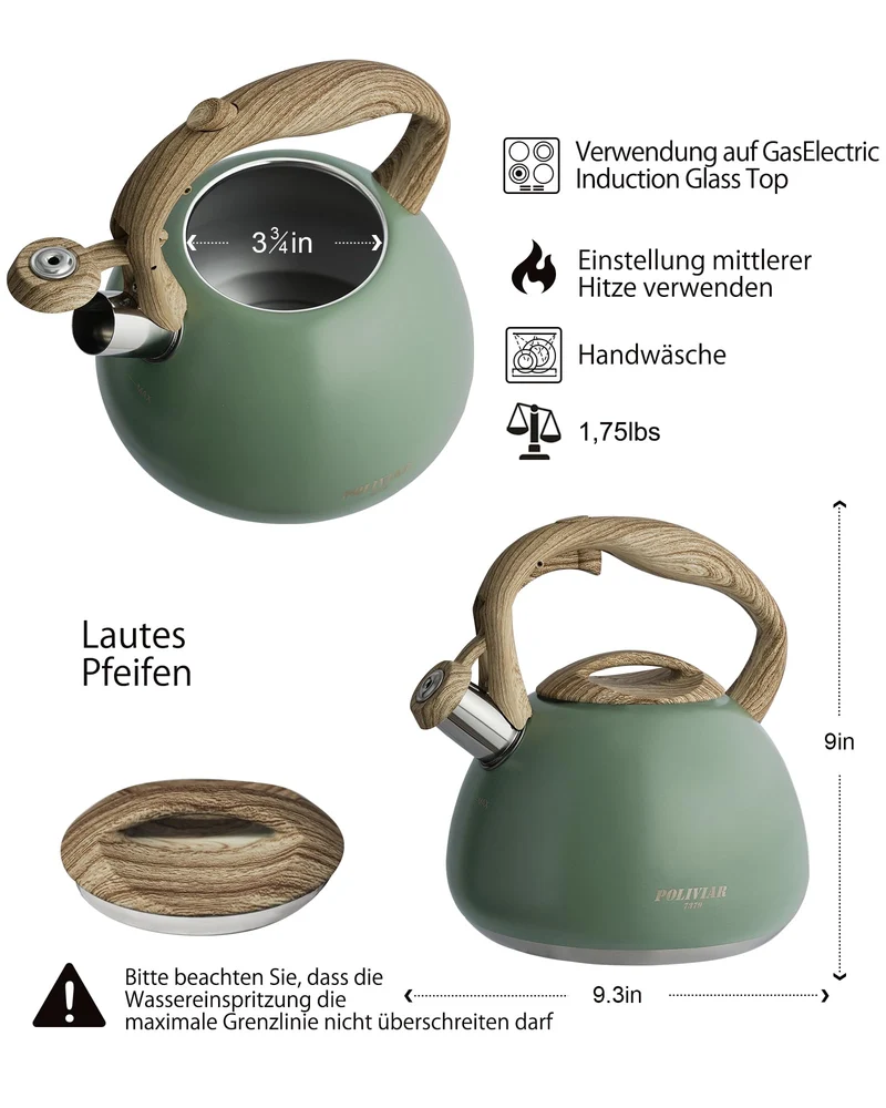 Wasserkessel Induktion, Edelstahl Pfeifkessel, Wildes grün