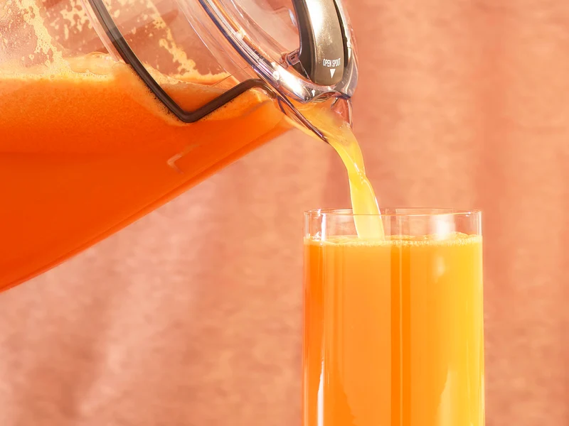 Breville The Juice Fountain Fresh 95