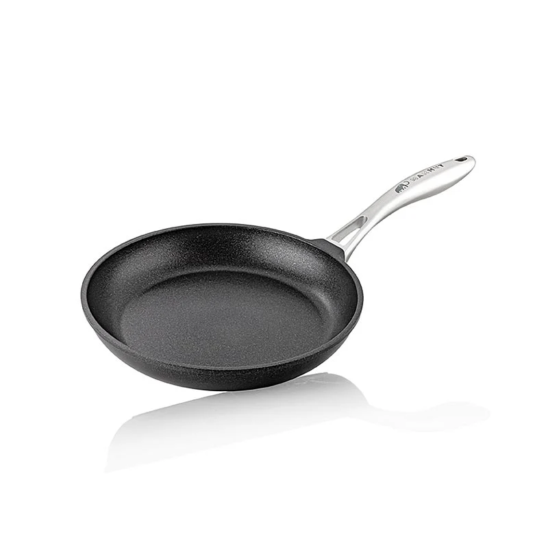 MAMMUT Pfanne, Edelstahlgriff, Ø 24 cm, 5cm h, AMT Gatroguss, 1 St
