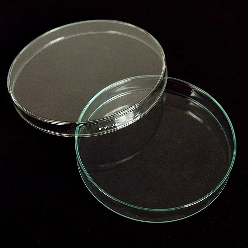 Petrischalen aus Glas, ø 15cm mit Deckel, 1 St