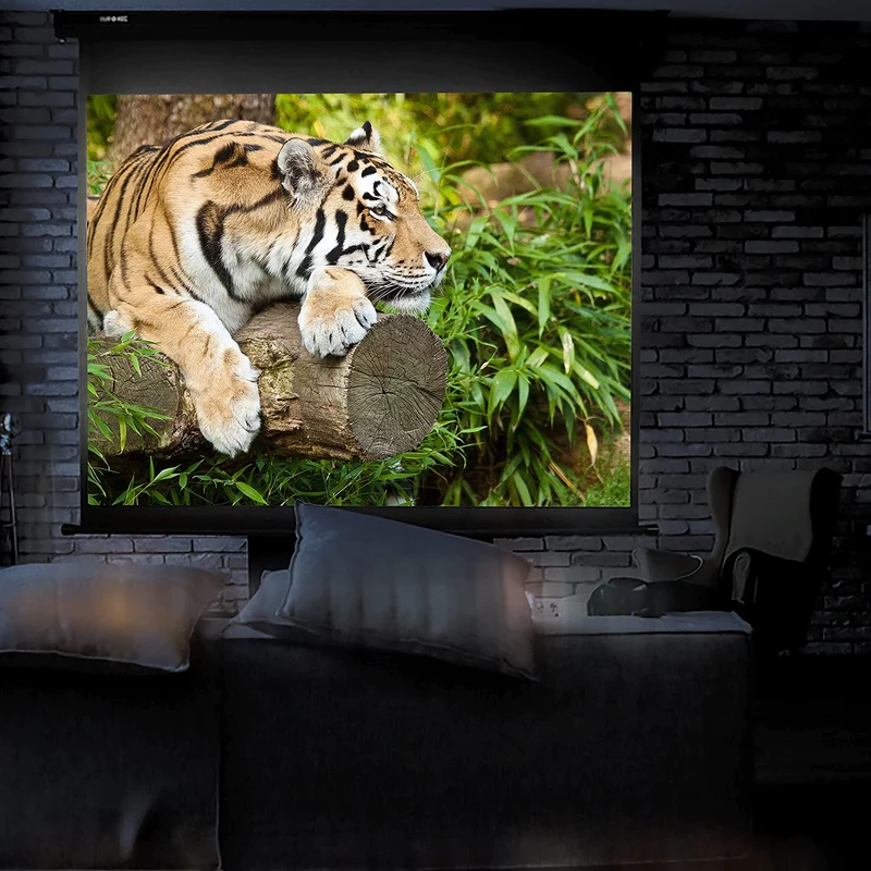 Duronic MPS90 Leinwand | 4:3 Rolloleinwand 90" Zoll 183 x 137 cm | Heimkino mit 4K Full HD 3D | Gain 1.0 | Projektionsleinwand für Decken und Wandmontage | Beamerleinwand für Büro und Präsentationen
